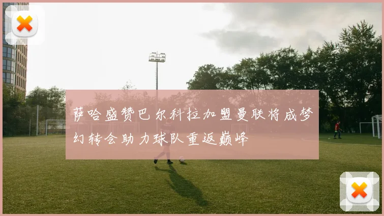 萨哈盛赞巴尔科拉加盟曼联将成梦幻转会助力球队重返巅峰