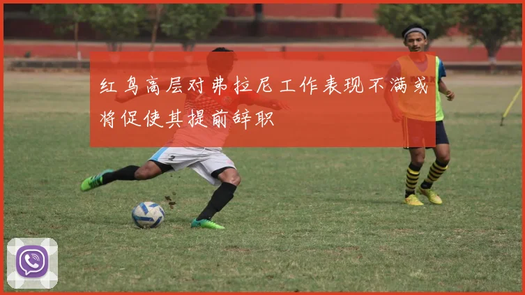 红鸟高层对弗拉尼工作表现不满或将促使其提前辞职